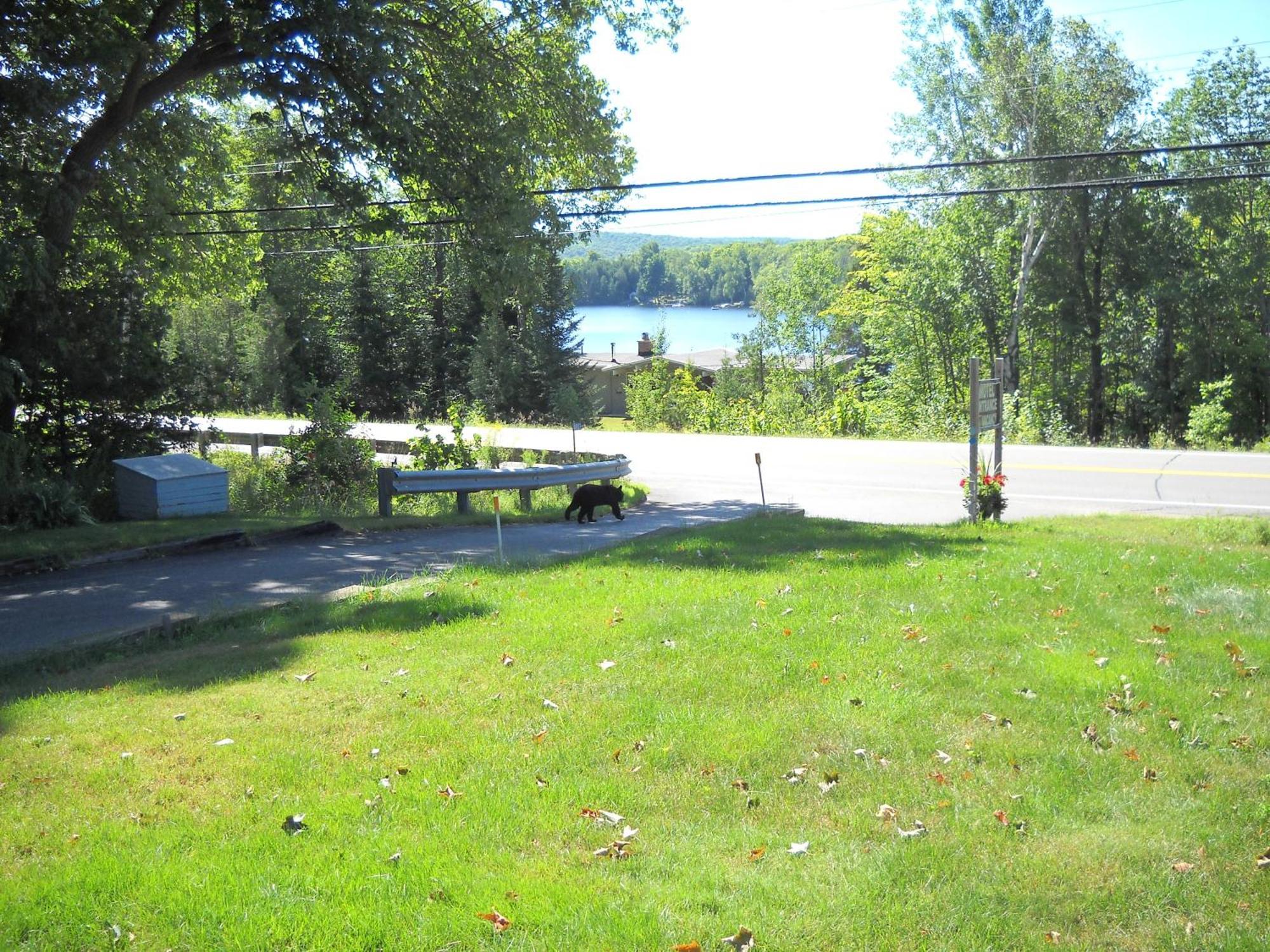 Lakeview Motel Haliburton Kültér fotó